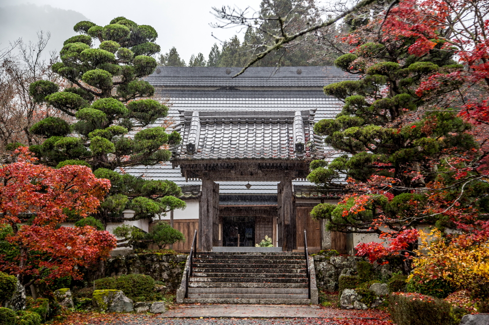 本殿と紅葉 三寶寺 フォトギャラリー旅丹 丹波篠山市 丹波市の丹波地域の観光や旅行の魅力を紹介する公式観光ポータルサイト