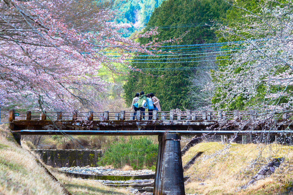 倉町野