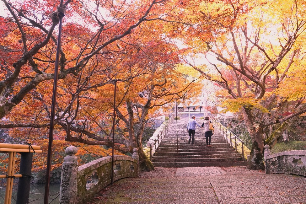 円通寺 もみじ祭 イベント 丹波篠山市 丹波市の丹波地域の観光や旅行の魅力を紹介する公式観光ポータルサイト