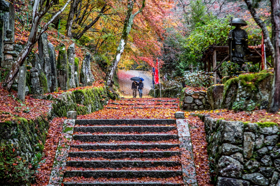 雨の日の紅葉散歩 石龕寺 フォトギャラリー旅丹 丹波篠山市 丹波市の丹波地域の観光や旅行の魅力を紹介する公式観光ポータルサイト