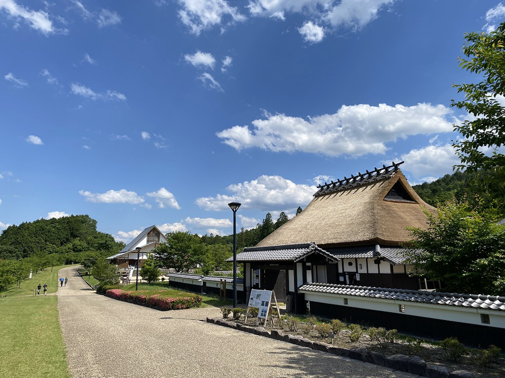 兵庫県立丹波並木道中央公園