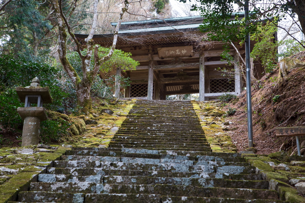 仁王門 神池寺 フォトギャラリー旅丹 丹波篠山市 丹波市の丹波地域の観光や旅行の魅力を紹介する公式観光ポータルサイト