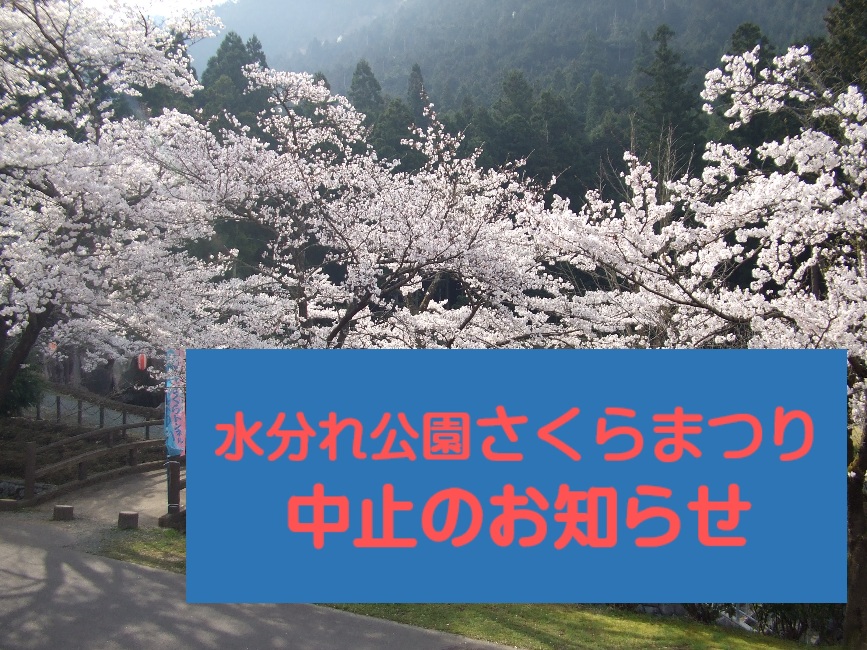 中止のお知らせ 水分れ公園 桜まつり イベント 丹波篠山市 丹波市の丹波地域の観光や旅行の魅力を紹介する公式観光ポータルサイト