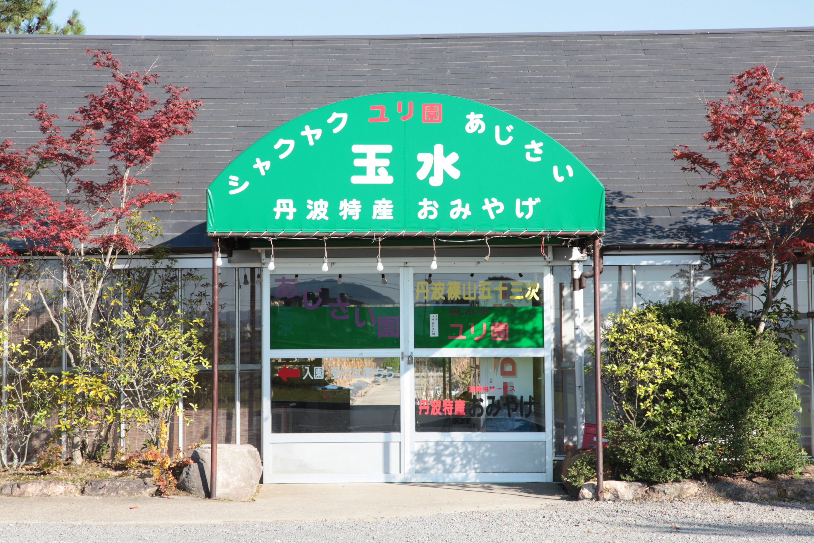 玉水ゆり園 観光スポット 丹波篠山市 丹波市の丹波地域の観光や旅行の魅力を紹介する公式観光ポータルサイト