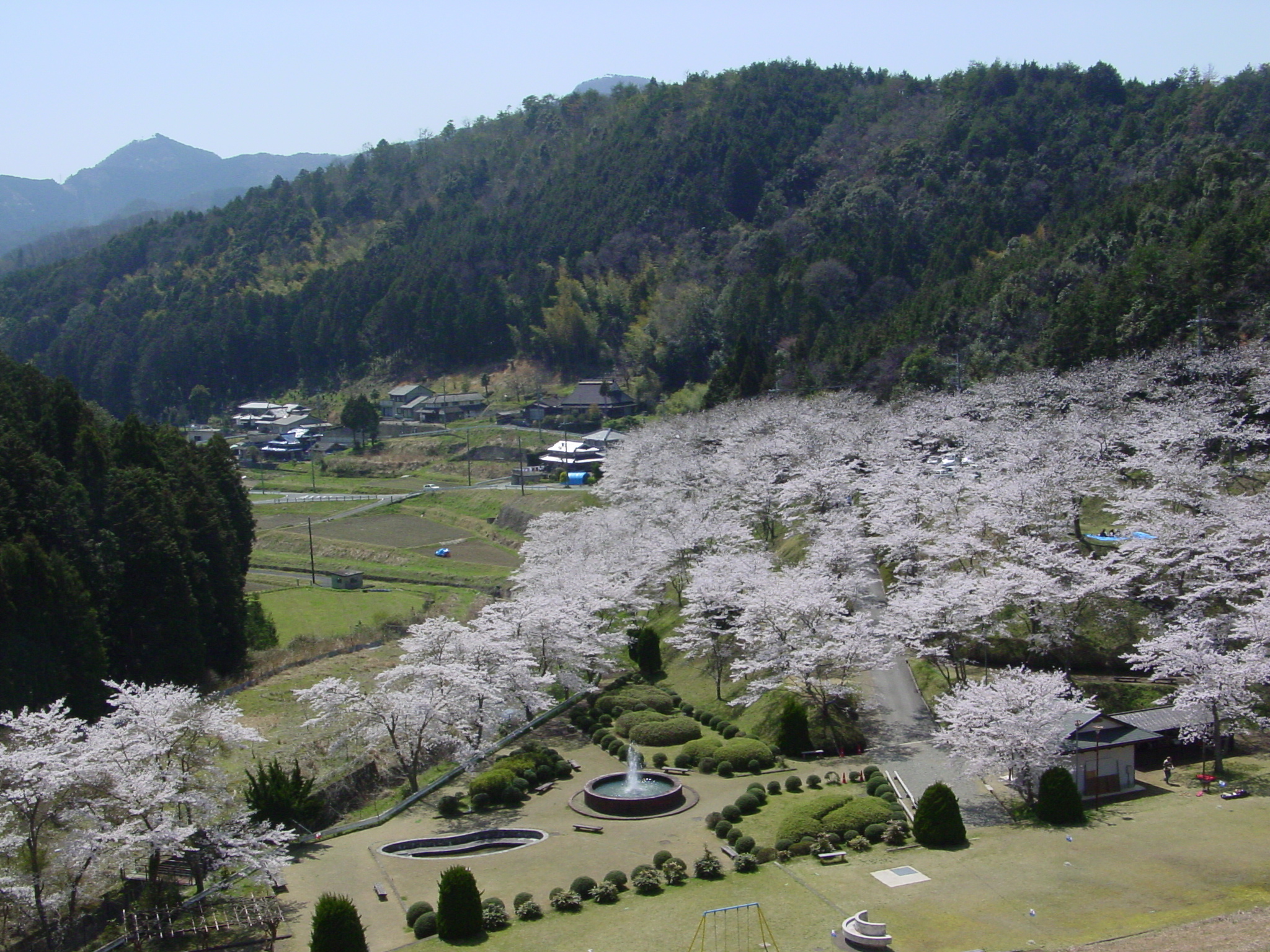 大杉ダム自然公園