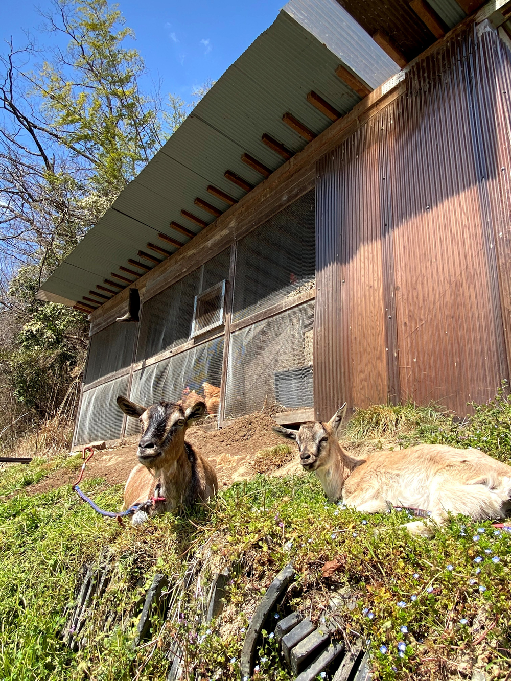 丹波篠山ひなたファーム