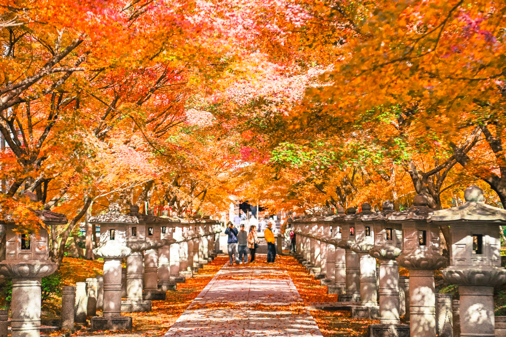 高山寺