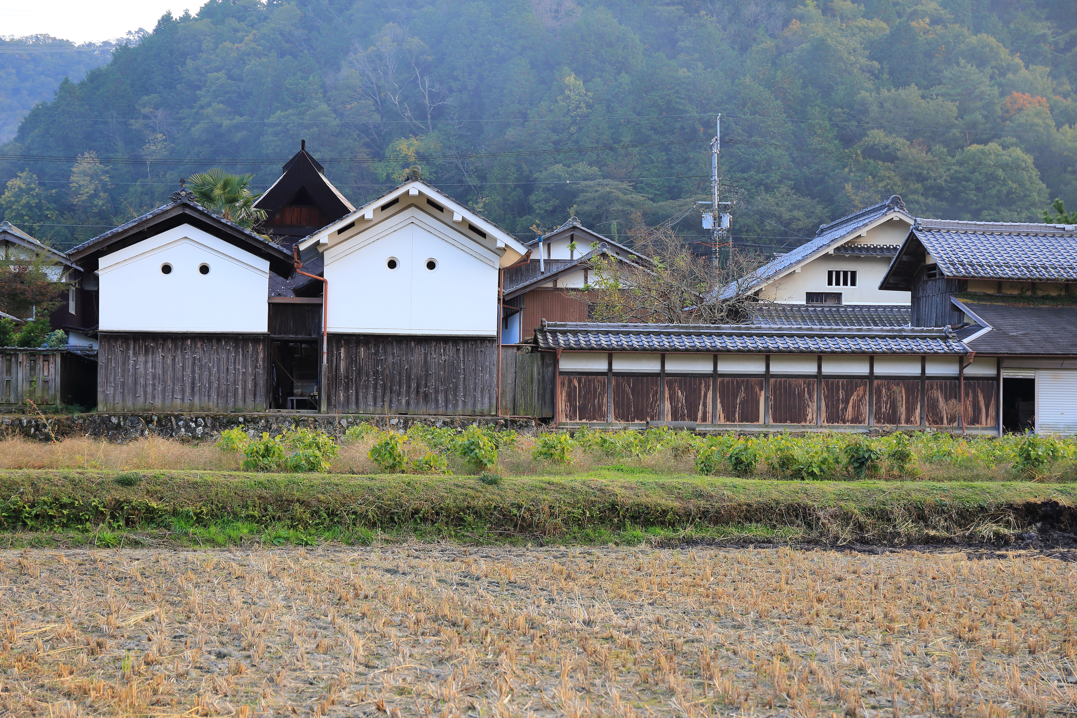 双子の蔵 丹波篠山市安口 フォトギャラリー旅丹 丹波篠山市 丹波市の丹波地域の観光や旅行の魅力を紹介する公式観光ポータルサイト