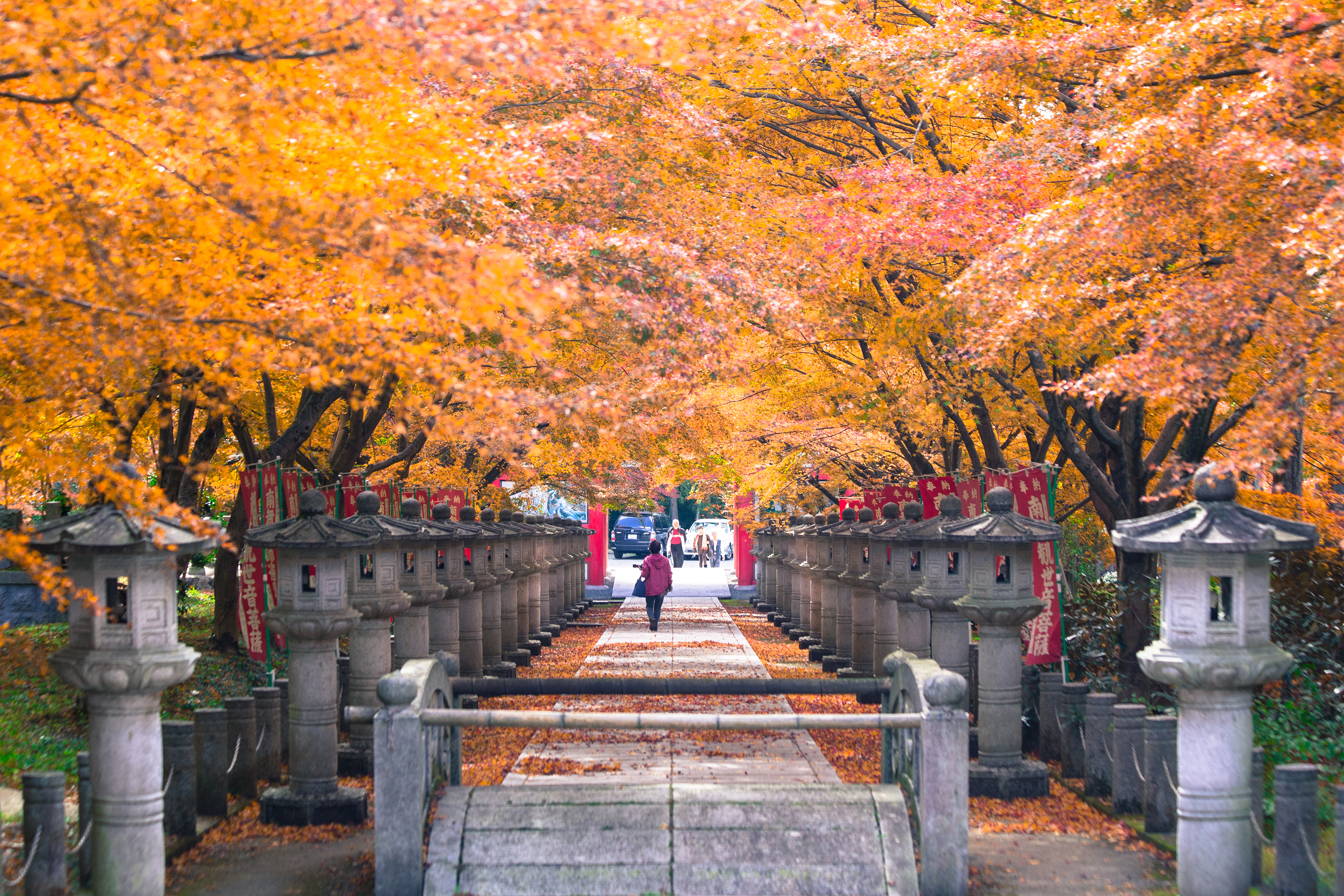 紅葉トンネルをくぐる女性 高山寺 フォトギャラリー旅丹 丹波篠山市 丹波市の丹波地域の観光や旅行の魅力を紹介する公式観光ポータルサイト